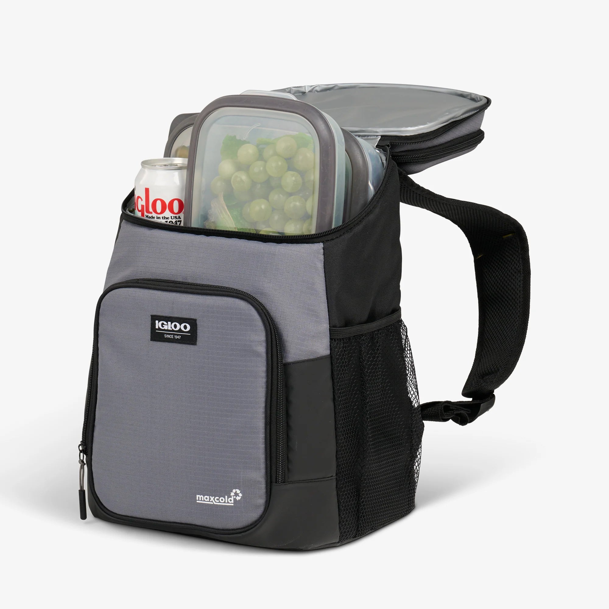 Igloo Coolers Latitude Hardtop 18-Can Backpack - Image 4